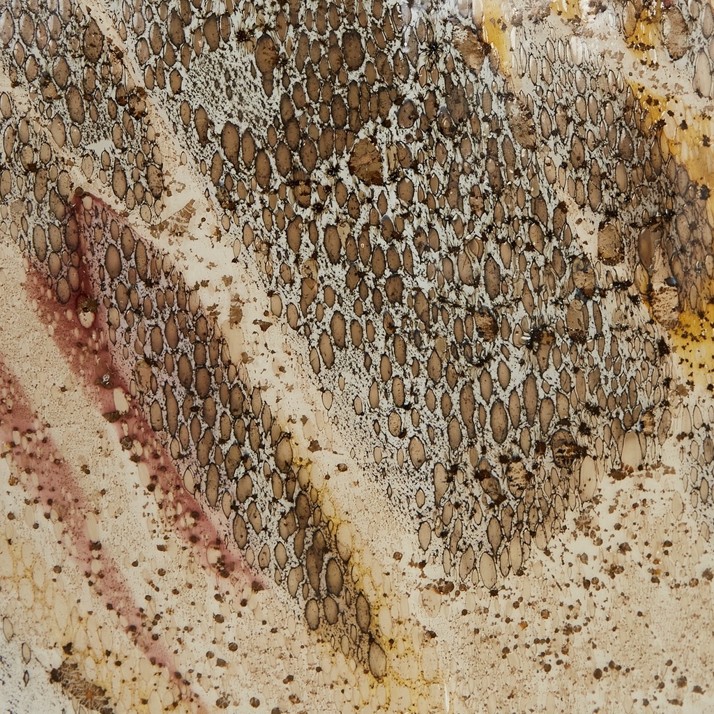 gallery_12.jpg