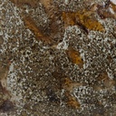 gallery_9.jpg