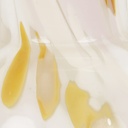 gallery_8.jpg