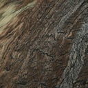gallery_13.jpg