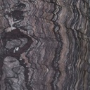 gallery_14.jpg