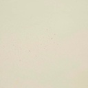 gallery_5.jpg