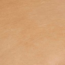 gallery_9.jpg