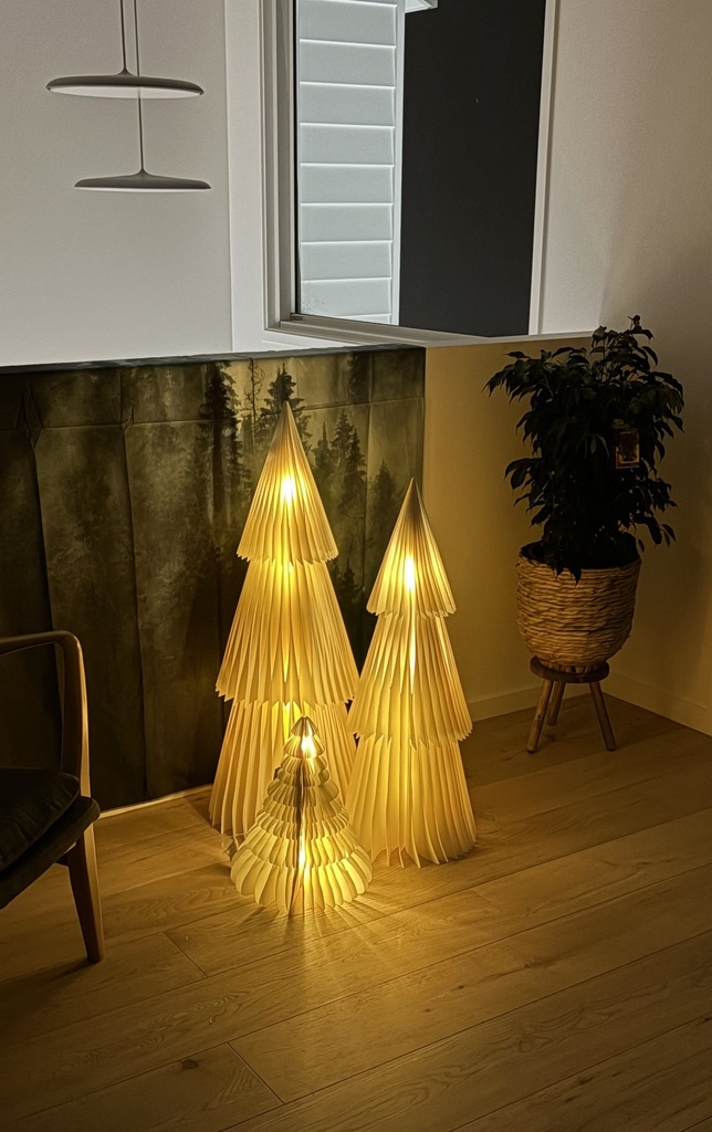 gallery_4.jpg