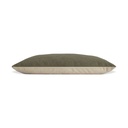 primary.jpg