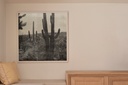 gallery_0.jpg