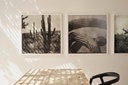 gallery_3.jpg