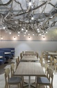 gallery_19.jpg