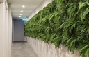 gallery_32.jpg