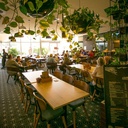 gallery_6.jpg