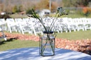 gallery_6.jpg