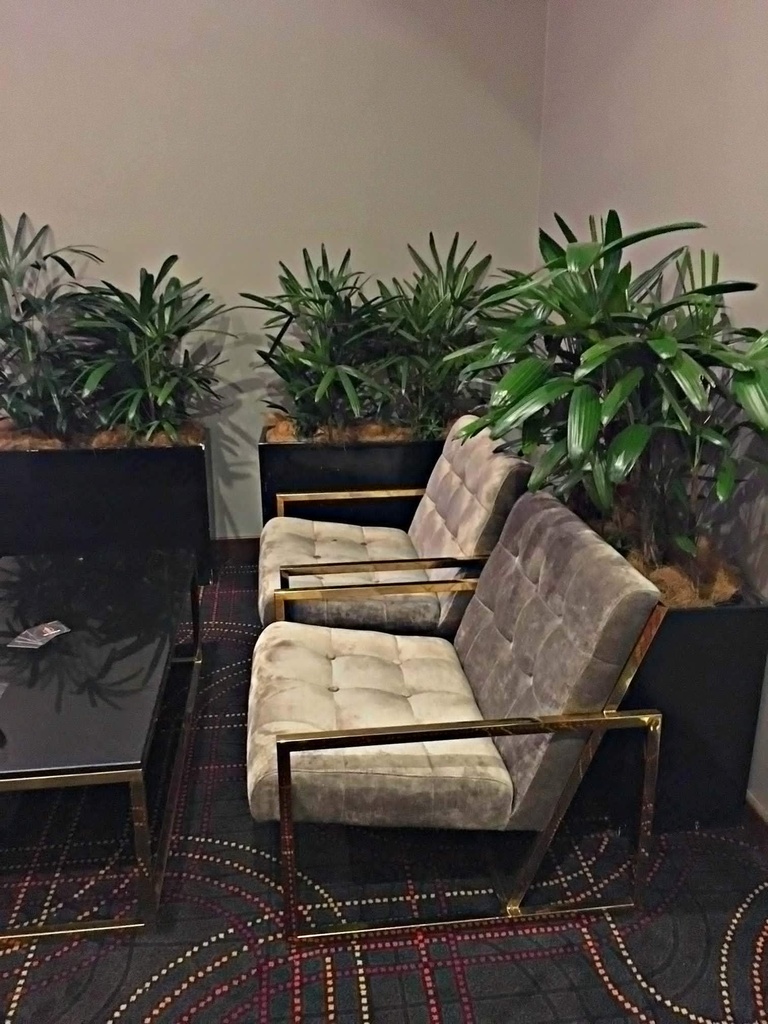 gallery_0.jpg