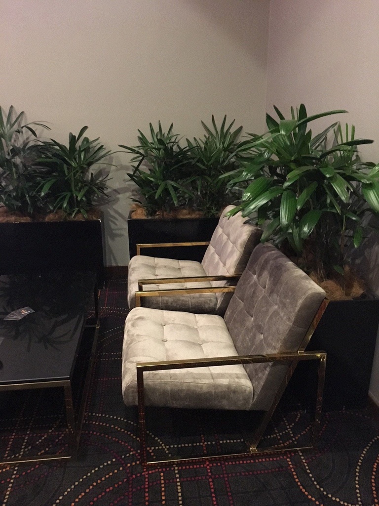 gallery_6.jpg