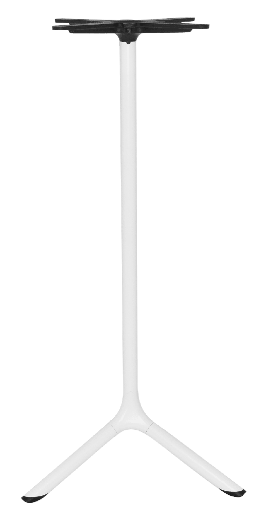 gallery_6.jpg