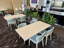 gallery_2.jpg