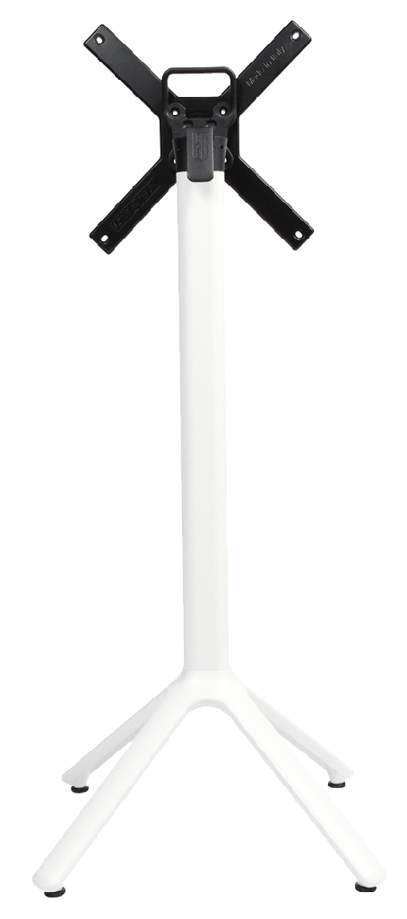 primary.jpg