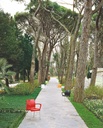 gallery_4.jpg
