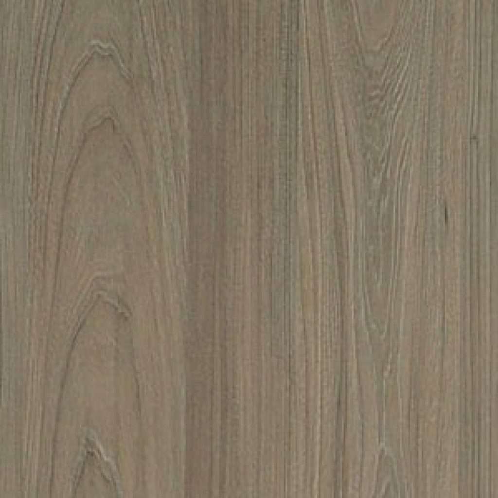 gallery_20.jpg