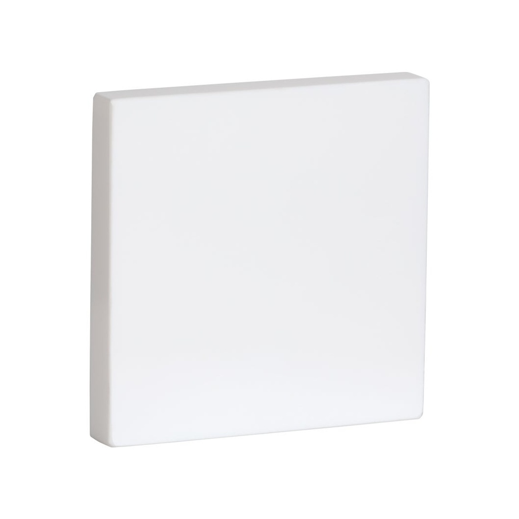 primary.jpg