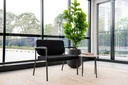 gallery_0.jpg