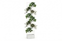 gallery_3.jpg