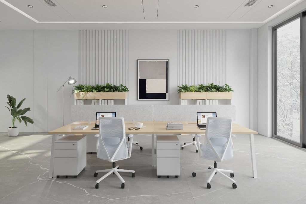 gallery_1.jpg