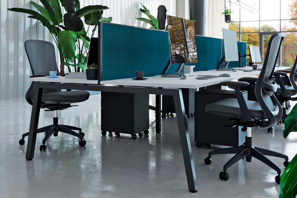 gallery_1.jpg