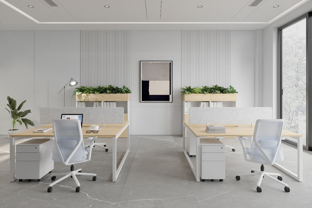 gallery_1.jpg