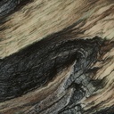 Image 13