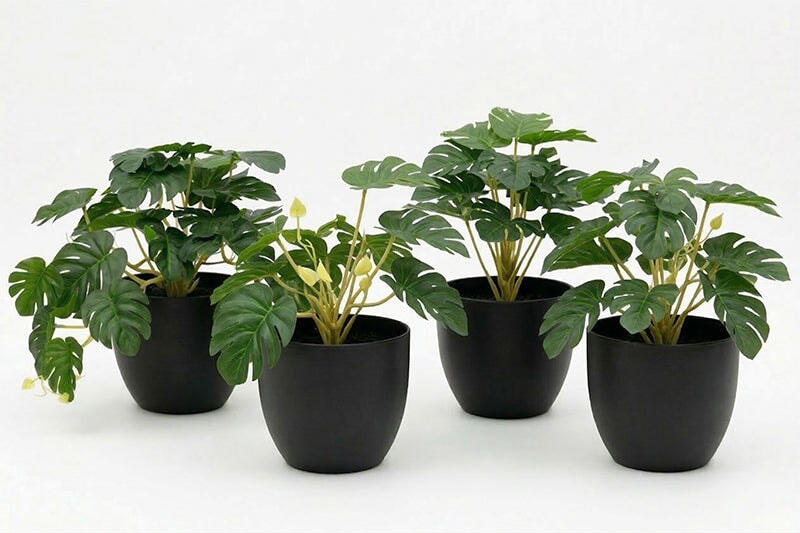 gallery_2.jpg