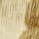Image 16