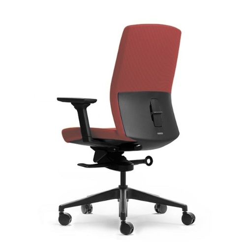 Image 21