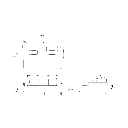Image 26