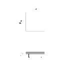Image 61
