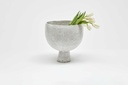 gallery_1.jpg