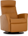 Divani Relaxer Chair & Lift Chair