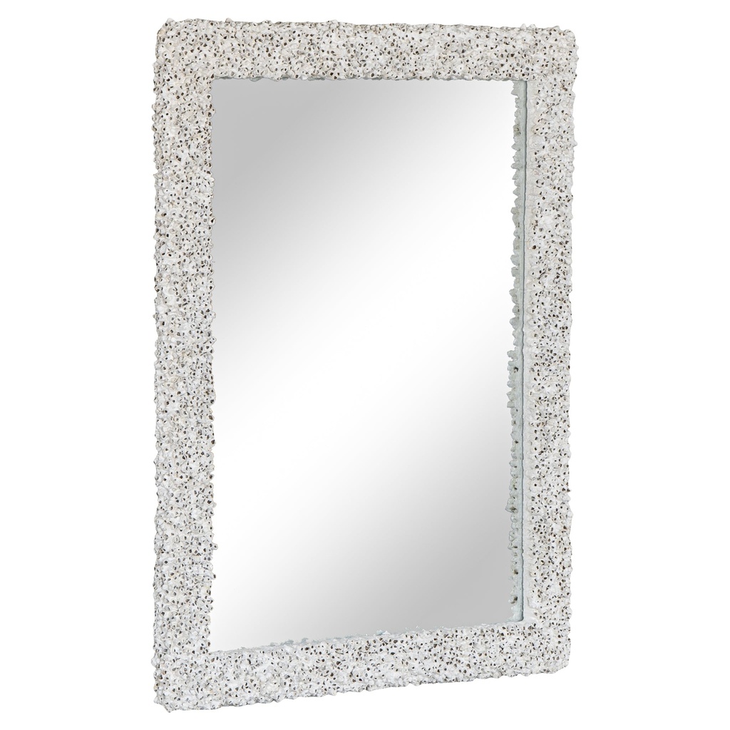 [OT-004] Barnacle Mirror