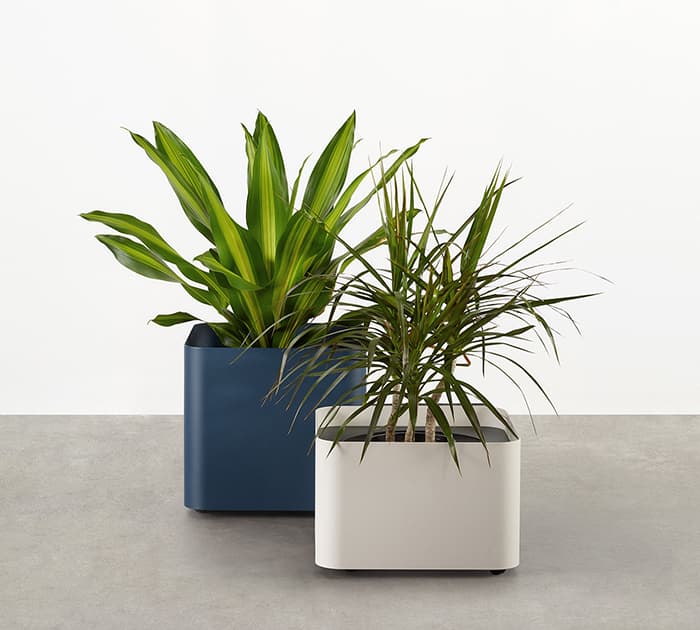 Softline Planter