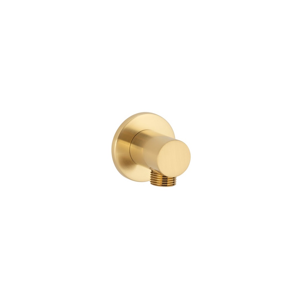 [10381] Round Shower BP - Brushed Brass
