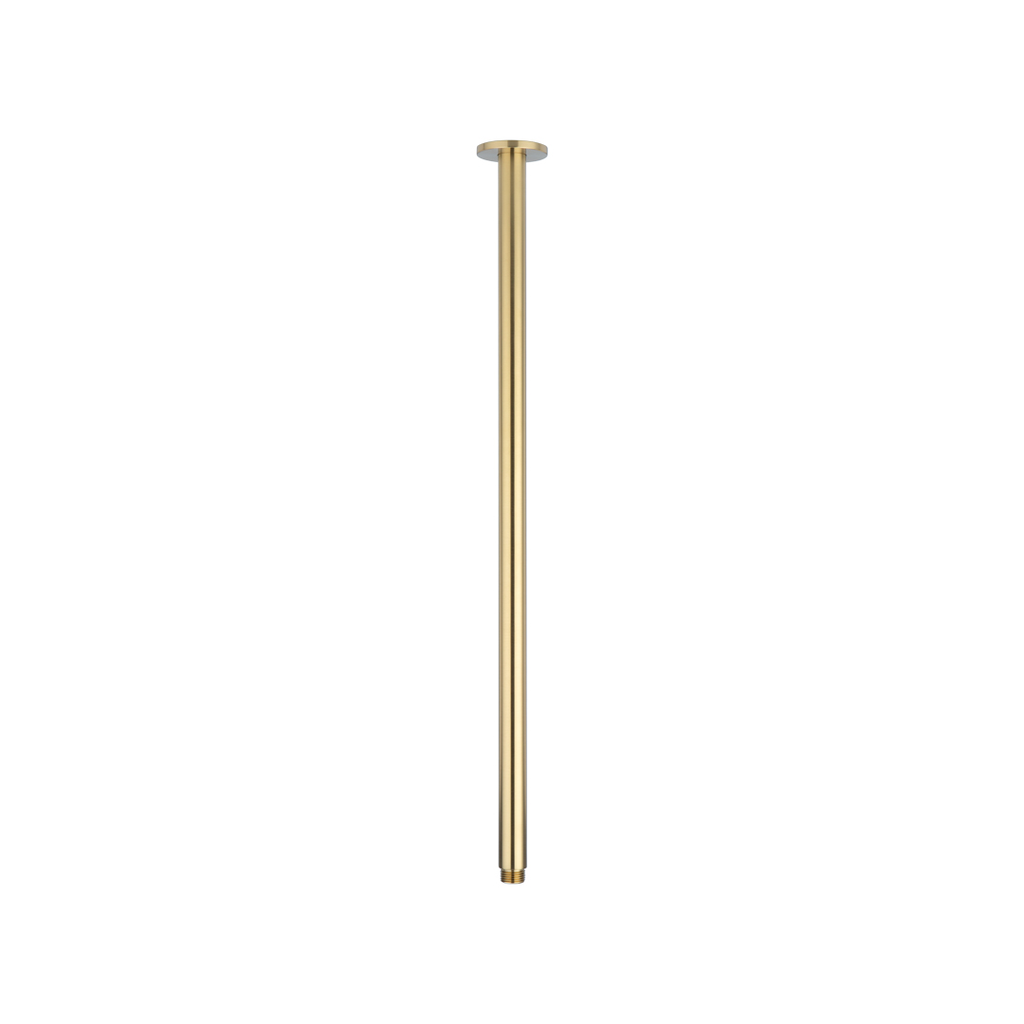 Shower Dropper Extended Round 600mm - Brushed Brass