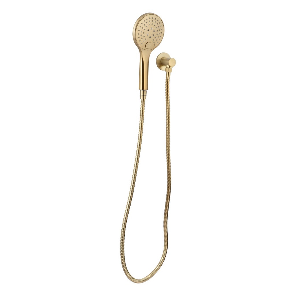 [15624] Aliro Accessible 3-Function Hand Shower Set - Brushed Brass