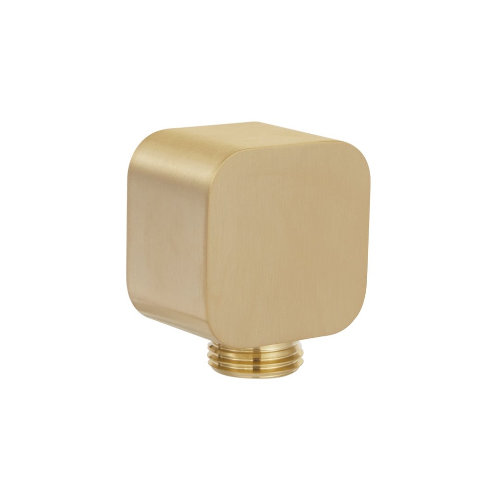 [16499] Nesso Shower BP - Brushed Brass