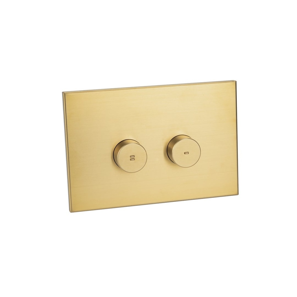 Aliro Accessible Pneumatic Flush Button & In-Wall Cistern - Brushed Brass