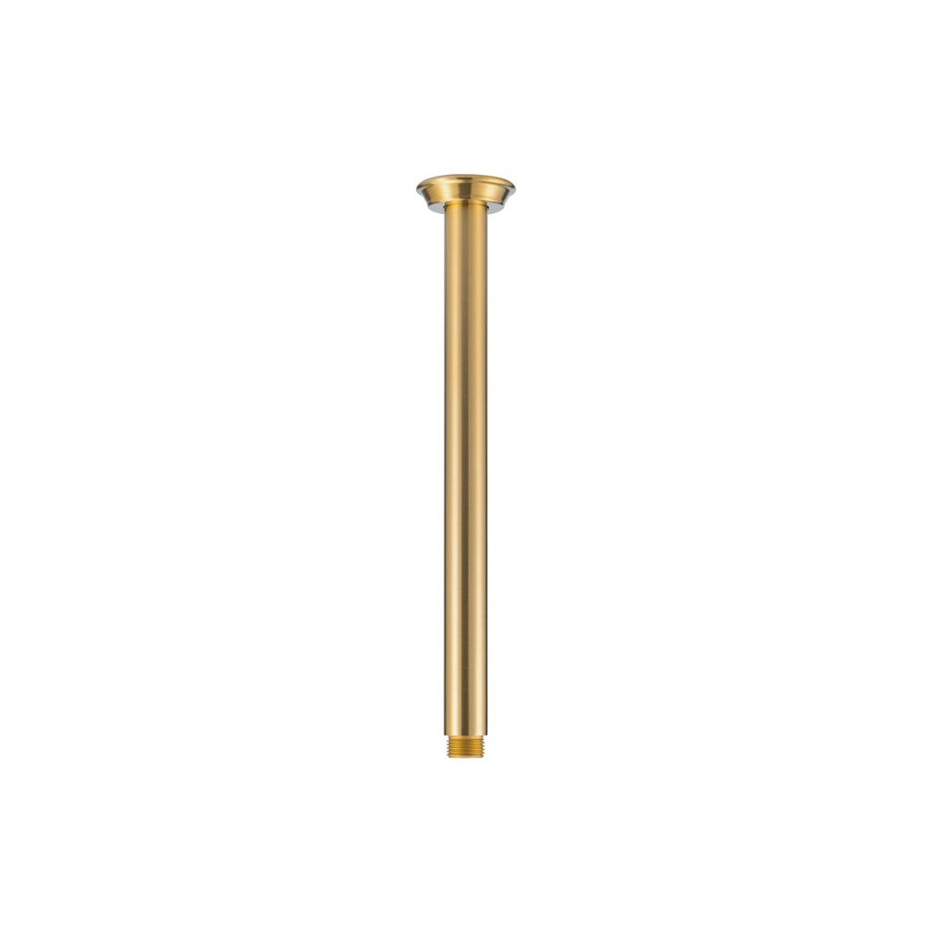 [18087] Kingsley Shower Dropper 300mm - Brushed Brass