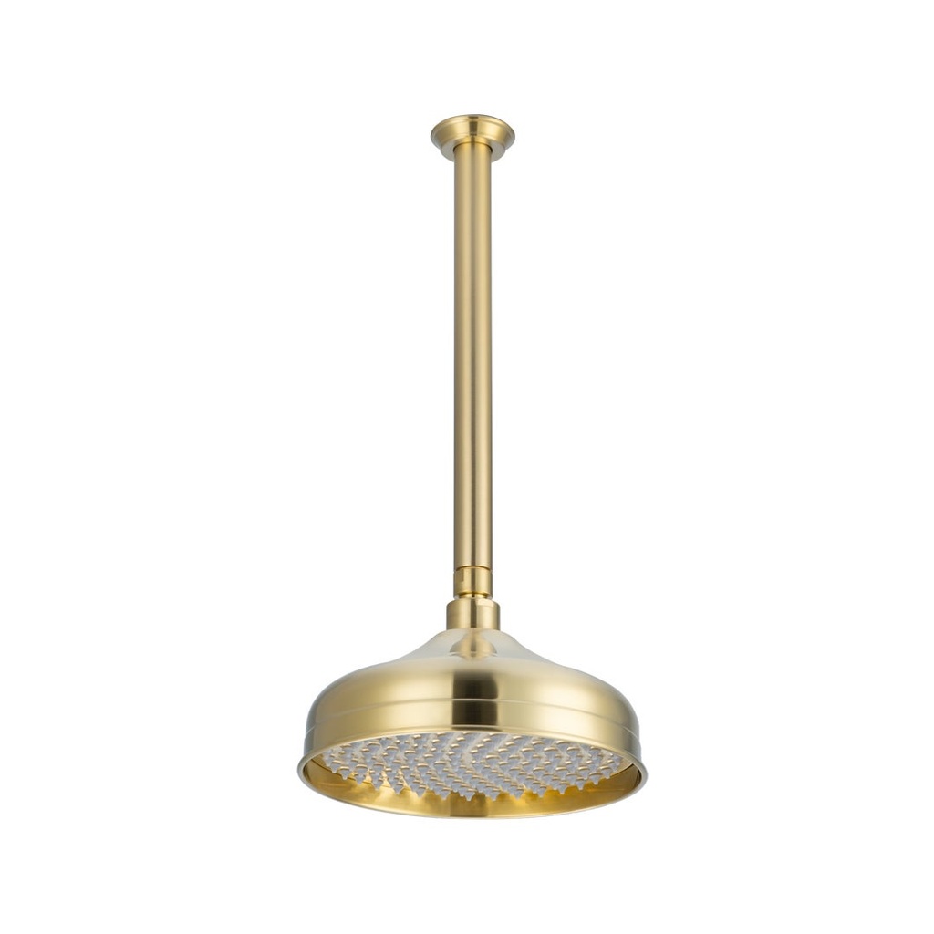 [19144] Kingsley Shower Dropper 300mm and Head Set - Brushed Brass