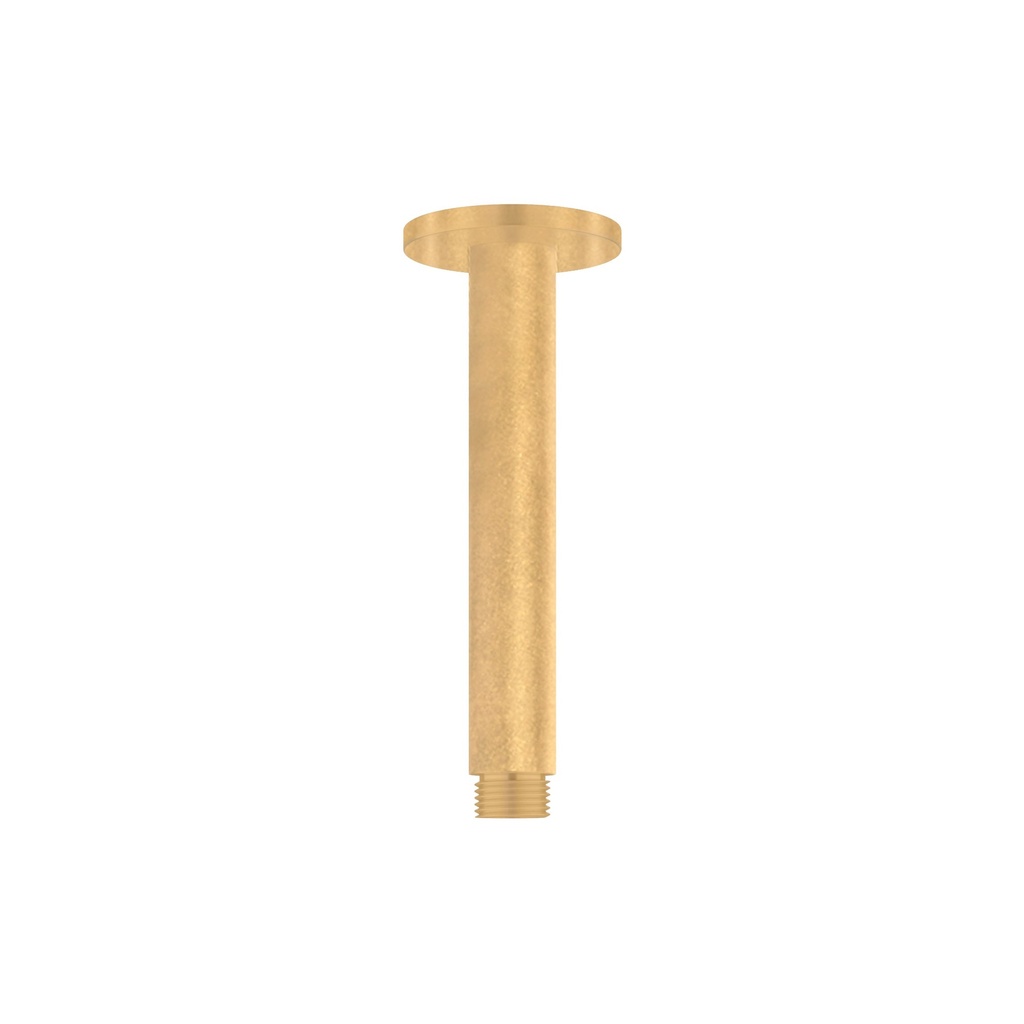 [19199] Shower Dropper 150mm - Tumbled Aged Brass