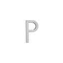 P Letter - 60mm - Stainless Steel