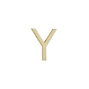 Y Letter - 60mm - Brushed Brass