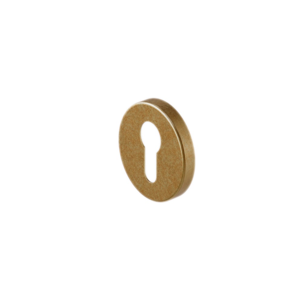 [17566] Escutcheon Round Back Plate - Antique Aurum