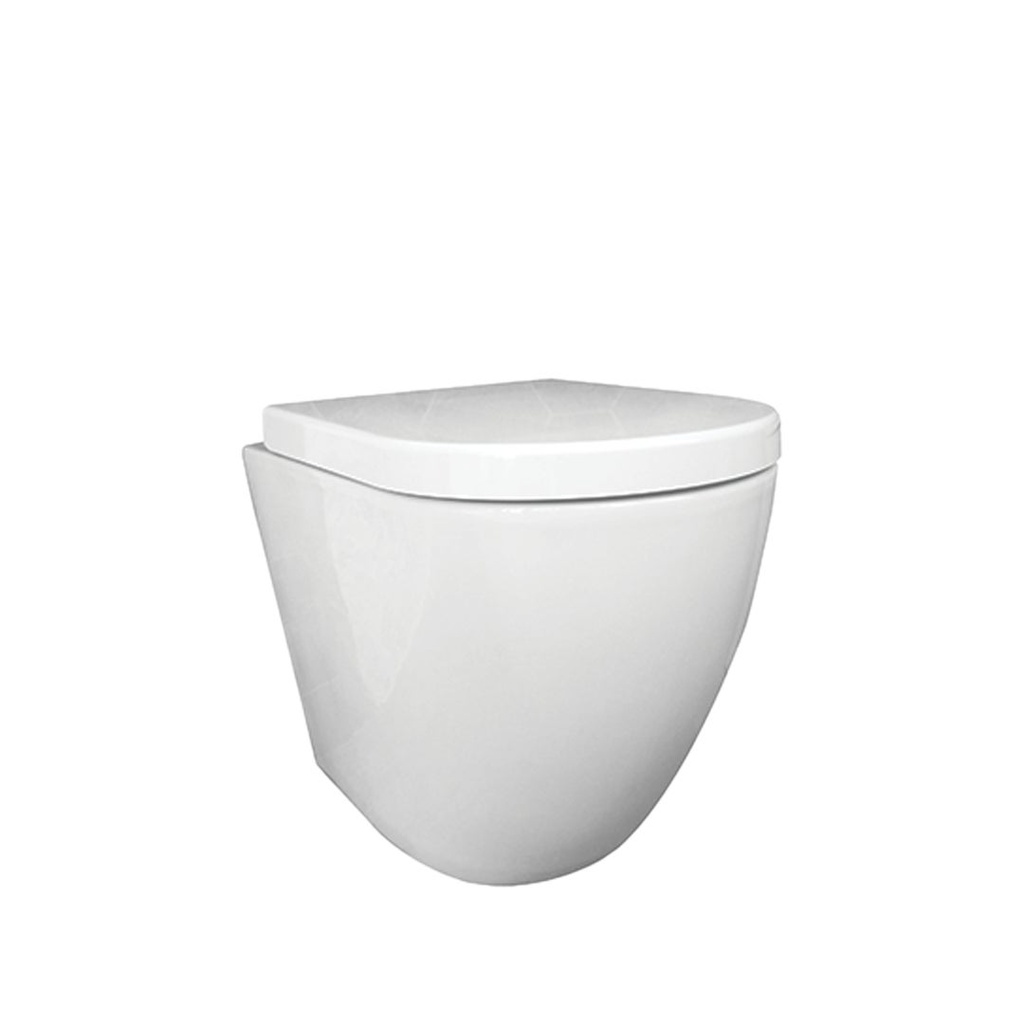 Asher Toilet Suite & In-Wall Cistern